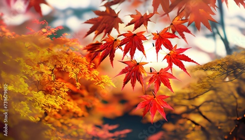 Autumn Maple leaves Landscape with blurred background