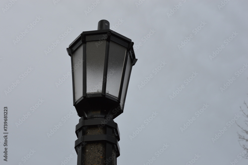 street city lamp in the park with tree branches in the background DSLR photo