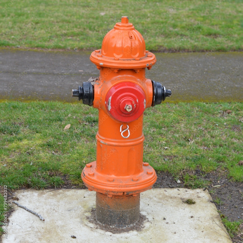 Red orange fire hydrant in the street green grass in the background high definition DSLR photo Red orange fire hydrant in the street green grass in the background high definition DSLR photo