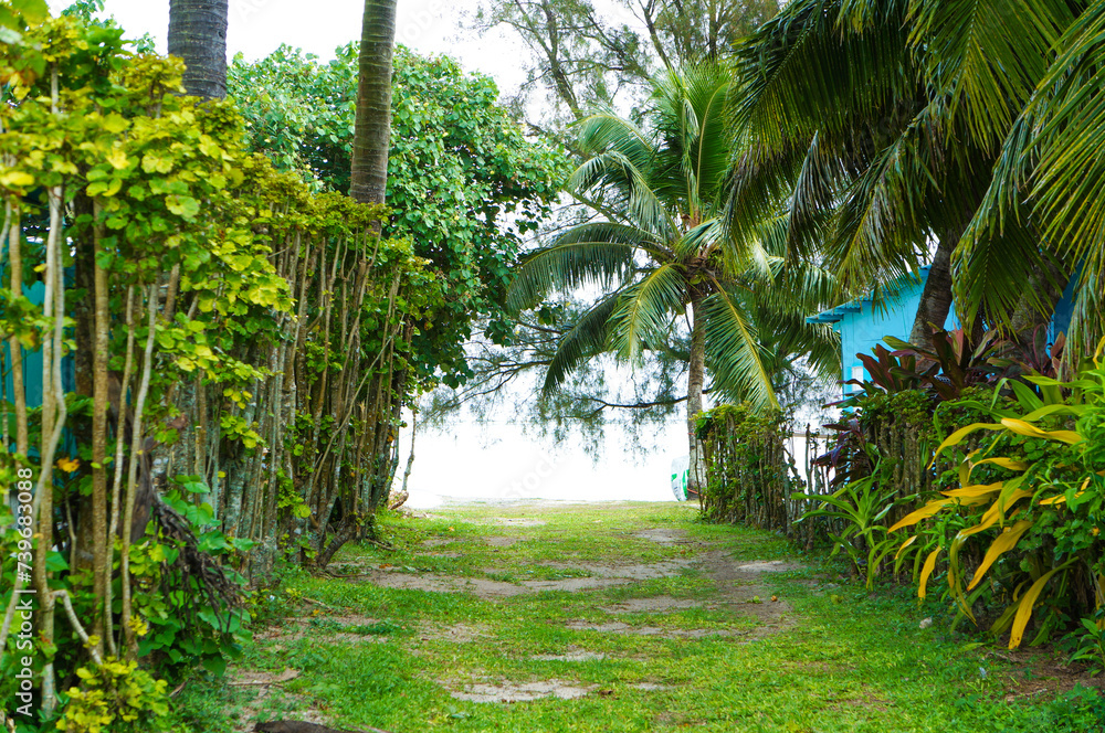 Obraz premium 海までの小道