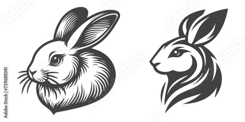 Rabbit Vector. Isolated rabbit shadow on a white background