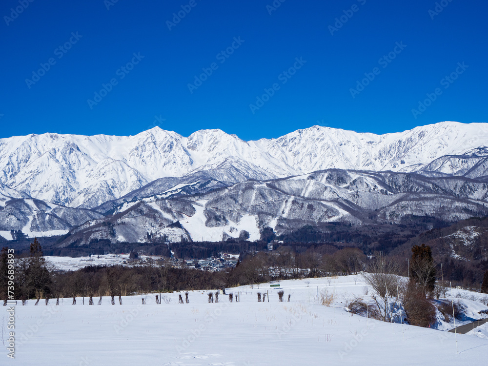 冬の白馬村　冠雪した北アルプス　白馬三山