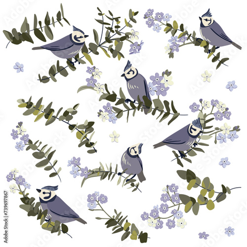 vector drawing birds, flowers and tree branches with leaves, hand drawn crested tits, set of isolated nature design elements
