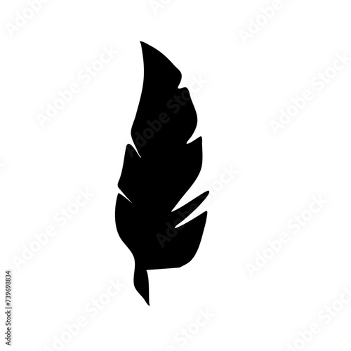 Bird Feather black silhouettes © Home