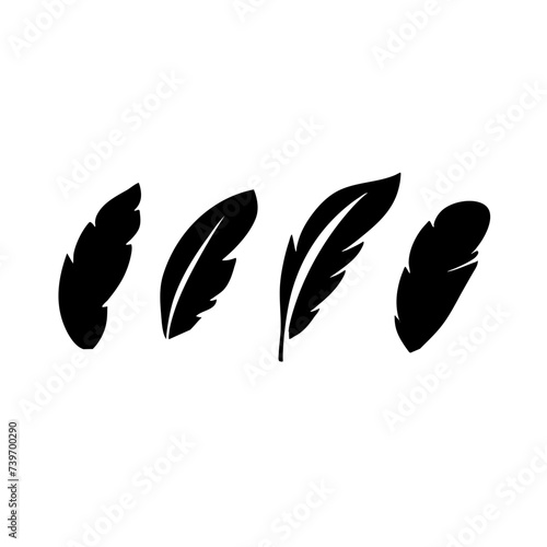 Feather vector