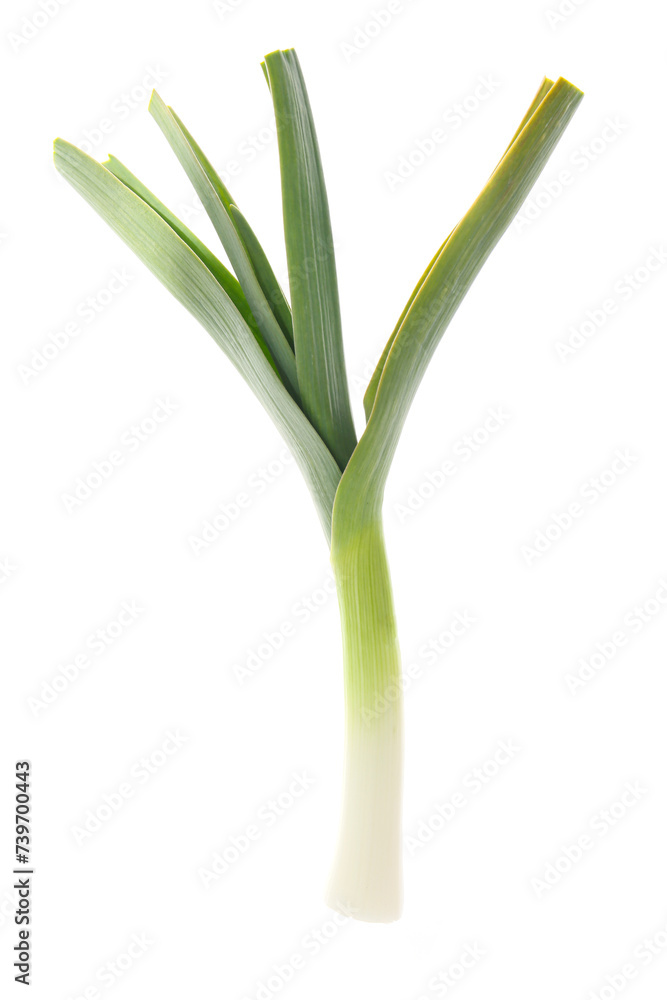 fresh leek with leaves isolated on a white background fresh leek with leaves isolated on a white background