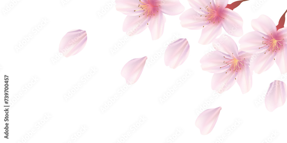 桜 春 花びら 背景 桜 春 花びら 背景
