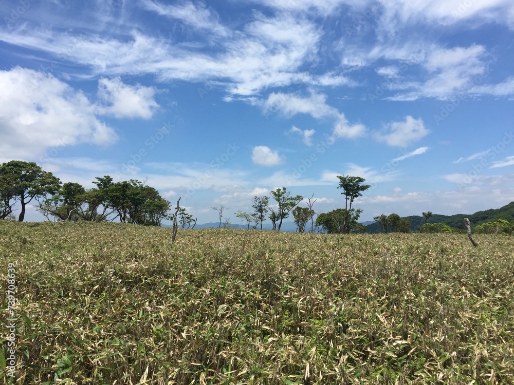 Obraz premium 比良山系の山からの天気の良い日の景色