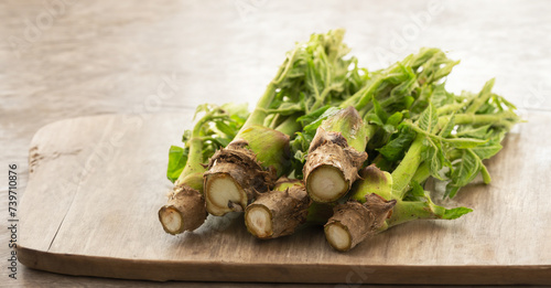 edible shoots of a fatsia