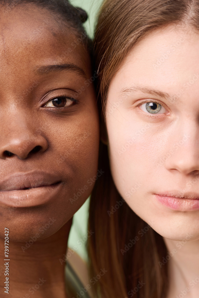 Vertical close-up studio shot of faces of two young African American and Caucasian women with no makeup posing for camera cheek to cheek Vertical close-up studio shot of faces of two young African American and Caucasian women with no makeup posing for camera cheek to cheek