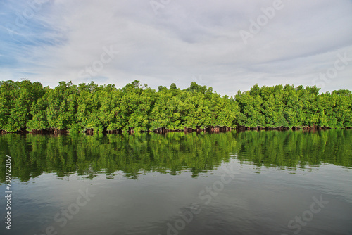 Mangroves jungle close Toubacouta village, Senegal, West Africa