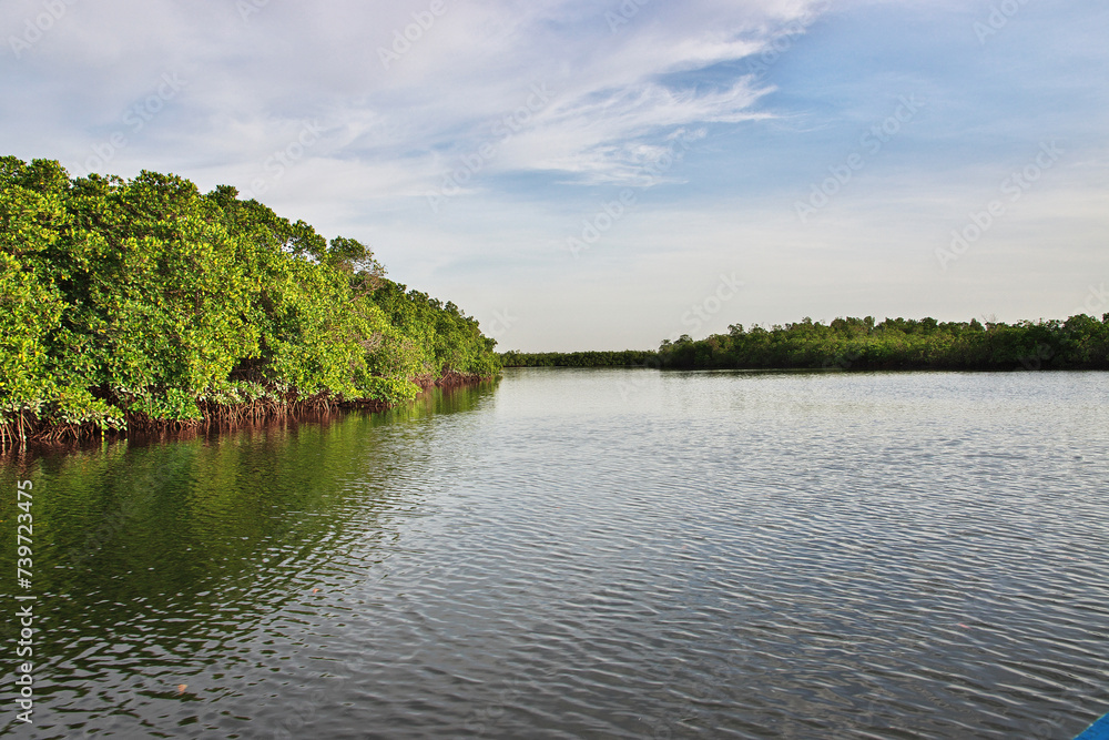 Bandiala river close Toubacouta village, Senegal, West Africa