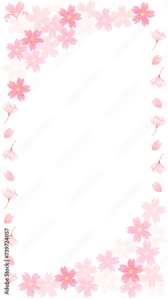 Sakura Cherry blossom flower border design with copy space Transparent PNG