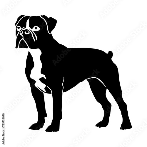 Silhouette of a Boxer dog standing