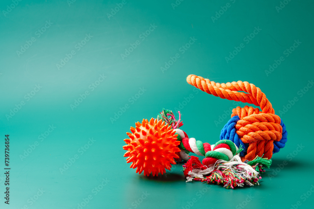 Naklejka premium Pet toys on green background studio shot