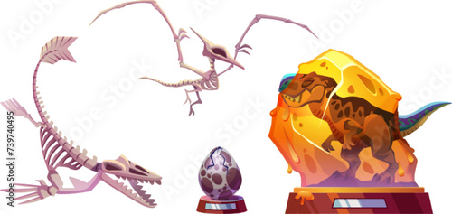 Exhibits of archaeological prehistory museum - dinosaur skeletons, recreated animal and cracked egg on stand. Cartoon vector illustration collection of paleontology exhibition dino bones and artefacts