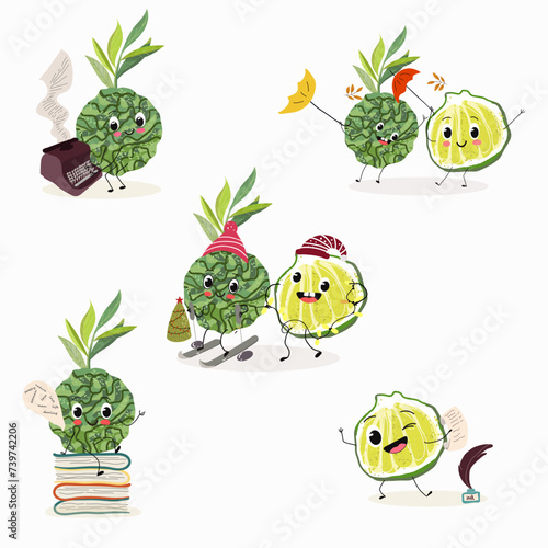 Cute cartoon bergamot characters set, collection. Flat vector illustration. Activities, playing musical instruments, sports, funny fruits.