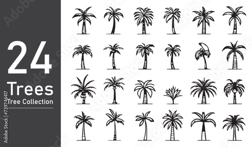 Black palm trees set isolated on white background. Palm silhouettes. © Nafi