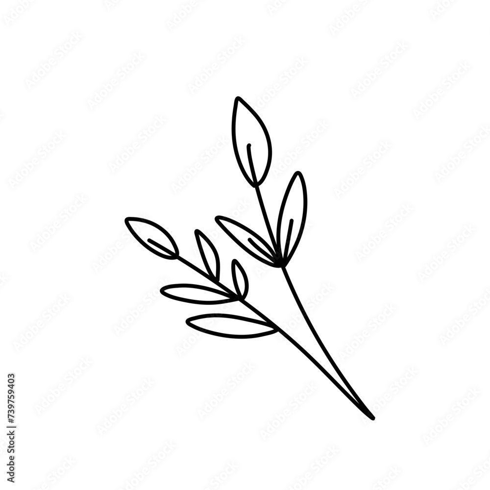 Obraz premium Floral ornament hand drawn