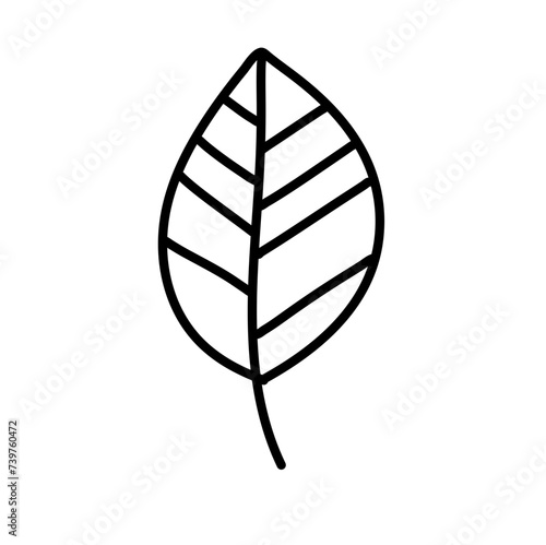Leaf Line Minimal Icon