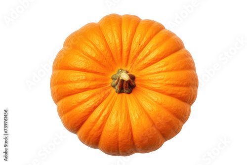 Wallpaper Mural An orange pumpkin sits. on a White or Clear Surface PNG Transparent Background. Torontodigital.ca