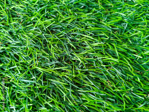 artificial grass background picture