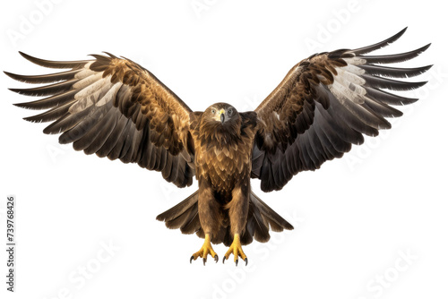 A large bird stands tall with its wings fully extended, showcasing its impressive size and grace. on a White or Clear Surface PNG Transparent Background.