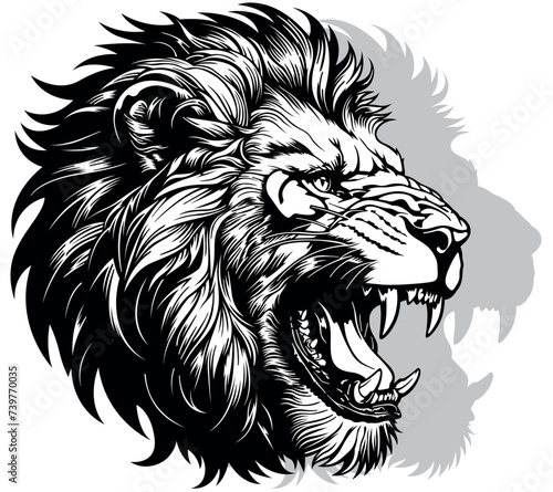 Drawing of Lion Head with O...