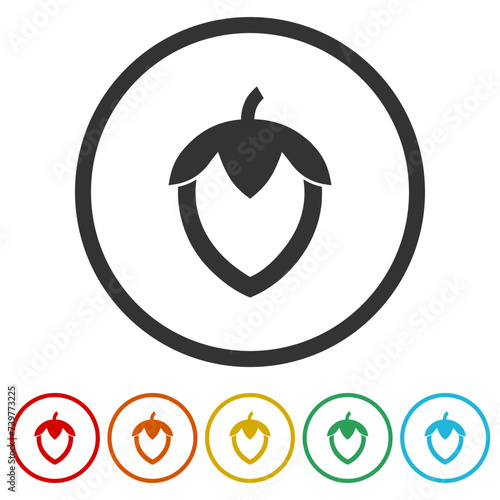 Hazelnuts, nuts icon. Set icons in color circle buttons