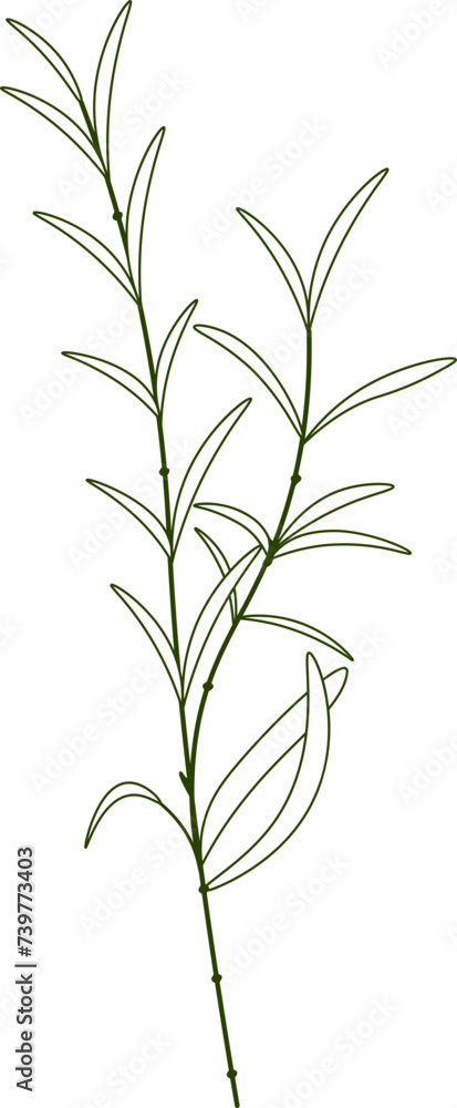 Flower Branch Line Art Flower Branch Line Art