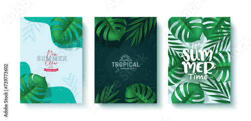 Summer tropical leaves vector poster set. Summer time greeting text with monstera and palm leaves elements for tropical season green nature background collection. Vector illustration summer time 