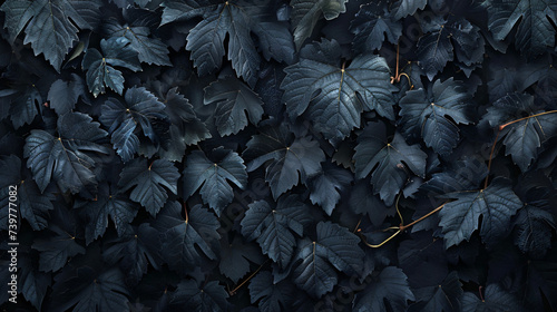 Wall of wild grape leaves