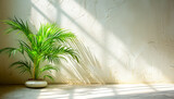 Lush Potted Palm Plant and Shadows in Bright Sunlit Room. Empty wall