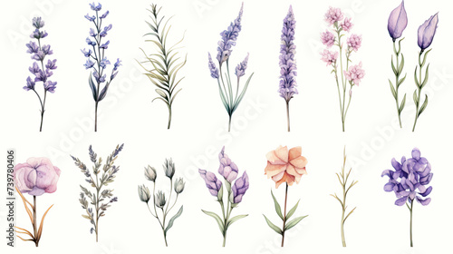 lavender white background