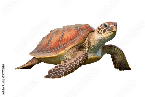 A green sea turtle gracefully swimming through the clear blue waters of the ocean. on a White or Clear Surface PNG Transparent Background.