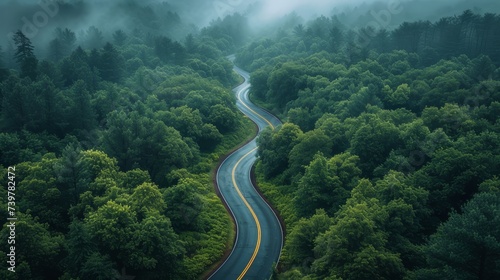 Winding forest road from a bird's eye view © senadesign