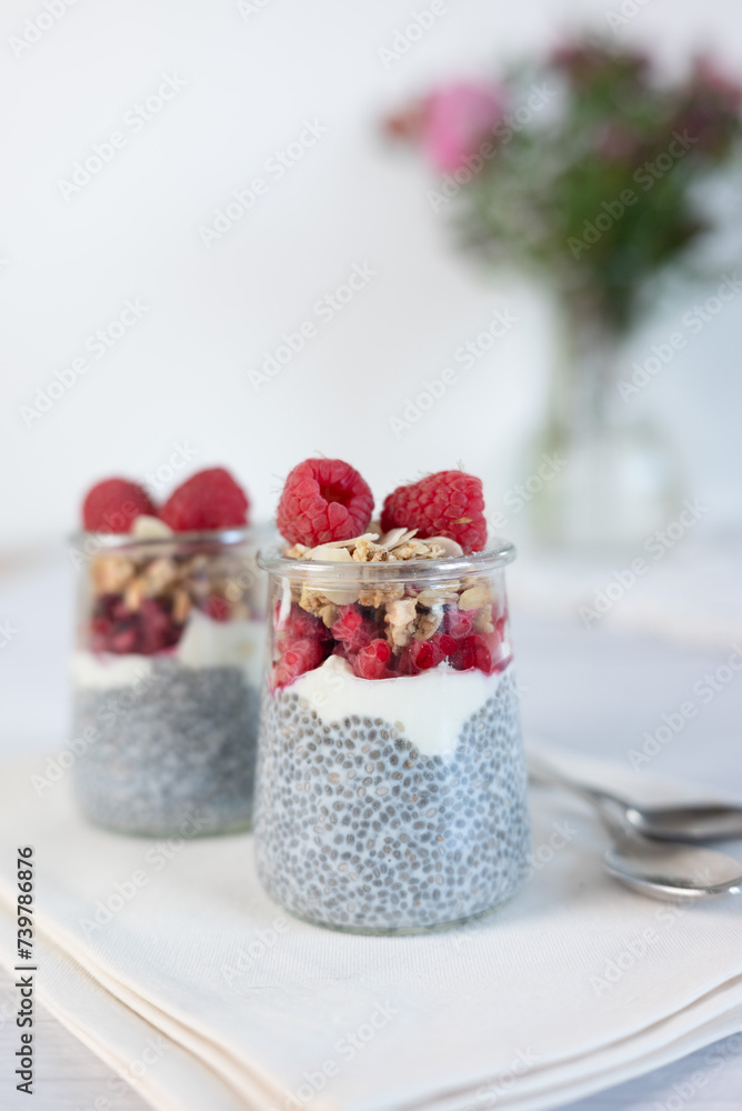 Home made chia pudding with granola and berries. Selective focus. Home made chia pudding with granola and berries. Selective focus.