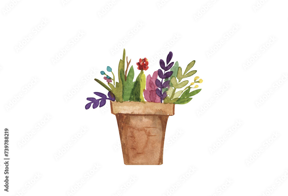 Flowers in a ceramic pot, garden flowers, onion, sprouts, spring watercolor illustration highlighted on a white background