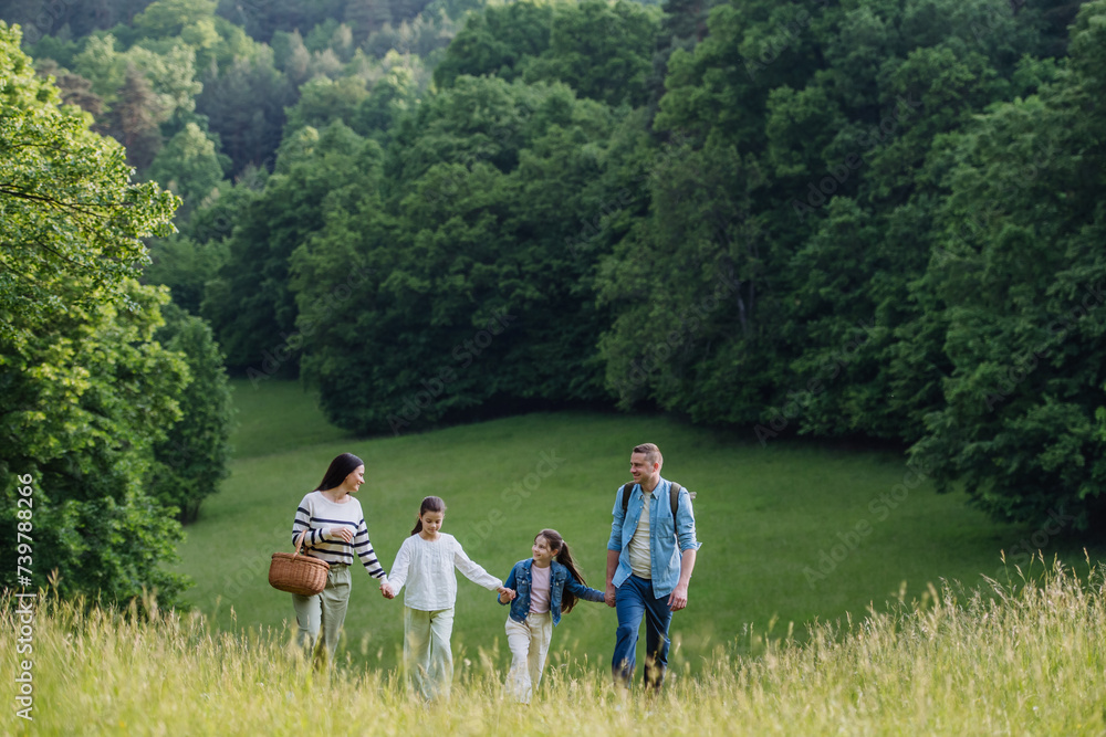 Family on interesting walk in forest, going through meadow. Mushroom, herbs medical plants or flowers picking, foraging. Concept of family ecological hobby in nature.