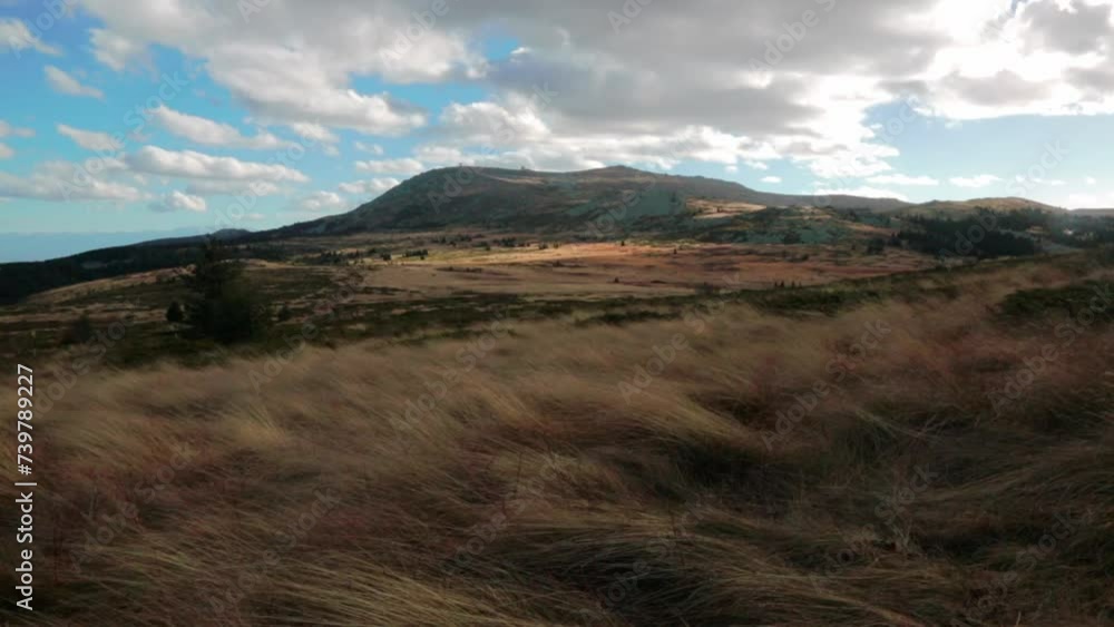 Vitosha mountain with golden grass on a cloudy day Vitosha mountain with golden grass on a cloudy day