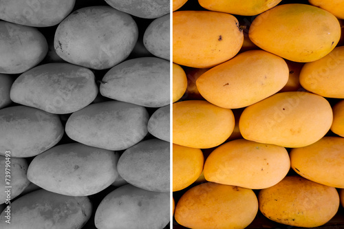 Difference between grayscale and full color photos. Split image comparison of desaturated image on the left and normal vibrant saturation on the right.