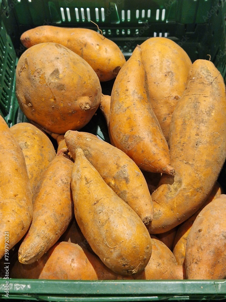 Süßkartoffeln - Ipomoea batatas - Batate, Weiße Kartoffel, Knollenwinde Süßkartoffeln - Ipomoea batatas - Batate, Weiße Kartoffel, Knollenwinde