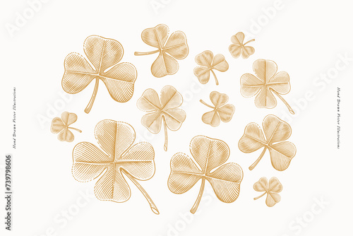 Clover leaves in engraving style. St. Patrick's holiday element on light background. Three leaf clover is symbol of independence and freedom. Four leaf clover is symbol of good luck and prosperity.
