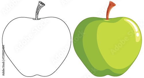 Vector illustration of an apple, half sketched, half colored.