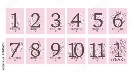 Baby milestone cards. First months cards. Flowers cards.Baby shower invitation. Newborn girl cards, stickers. Vector illustration. Children cards first 12 months. Pink background with flowers ornament