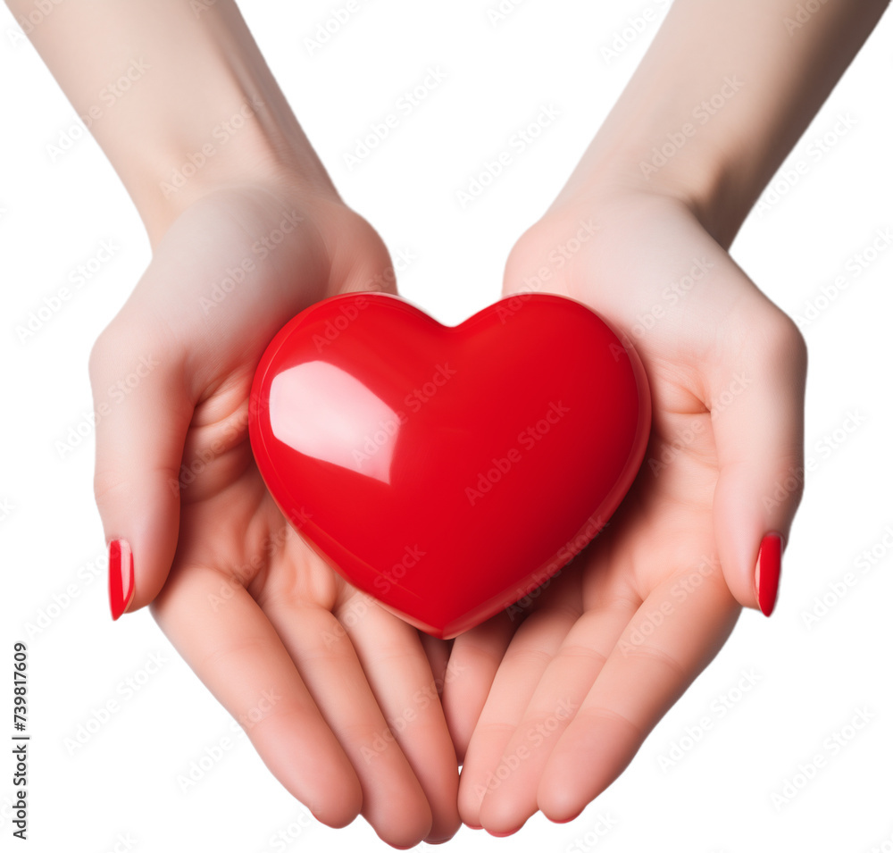 Obraz premium Hands, Palms, Heart, Health, Care, Love, Holding, Isolated, Close-up. DONATE LOVE. Concept art. Two female hands holding a heart. Symbolic image about health, feeling and taking care.