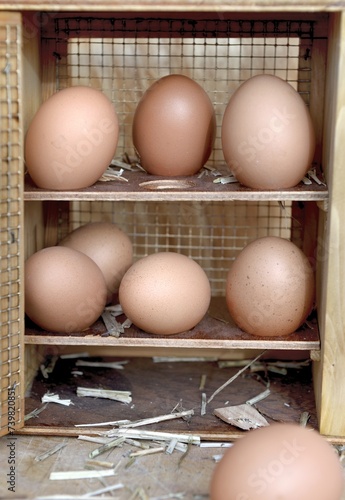 front view on chicken eggs in a rustic box opening on wooden background
