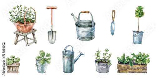 Watercolor of flower plant elements and equipment on white background.
