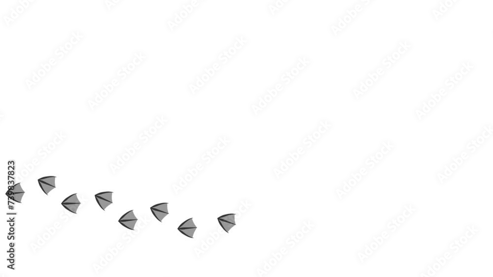 Footprints of bird, Traces of a Duck. Cartoon funny paws along the path. Footprints walking bird on a trajectory of movement. Animation of Paw trail prints of Goose on white background. 4K. Footprints of bird, Traces of a Duck. Cartoon funny paws along the path. Footprints walking bird on a trajectory of movement. Animation of Paw trail prints of Goose on white background. 4K.