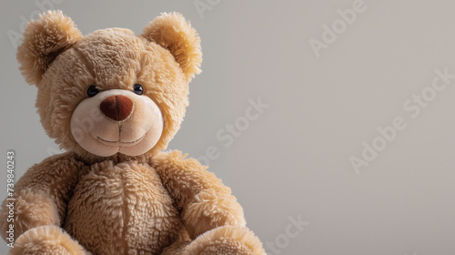 teddy bear on a monochrome background